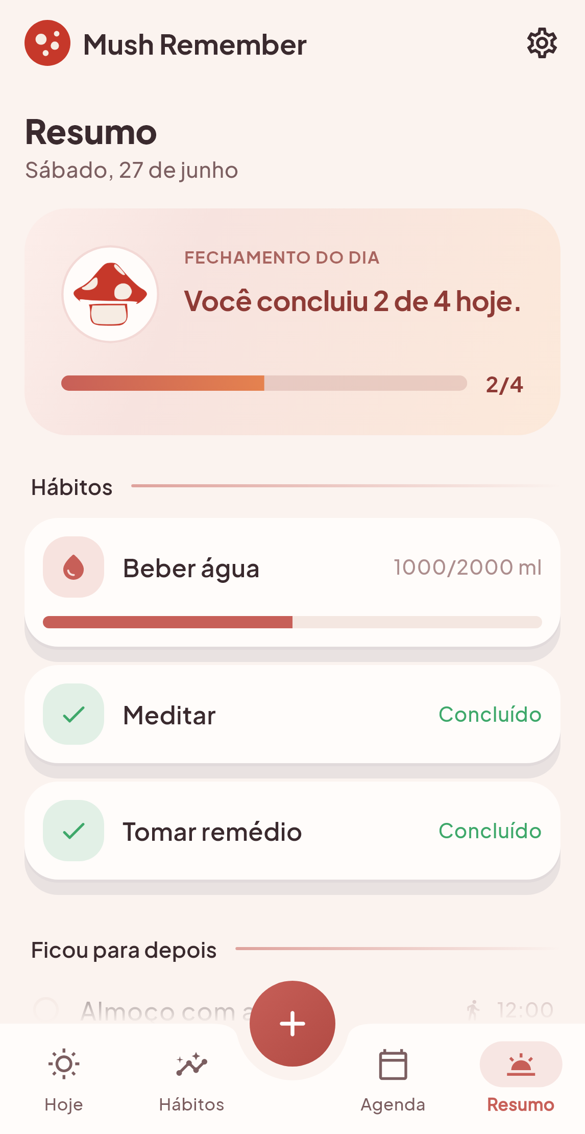 Tela Resumo